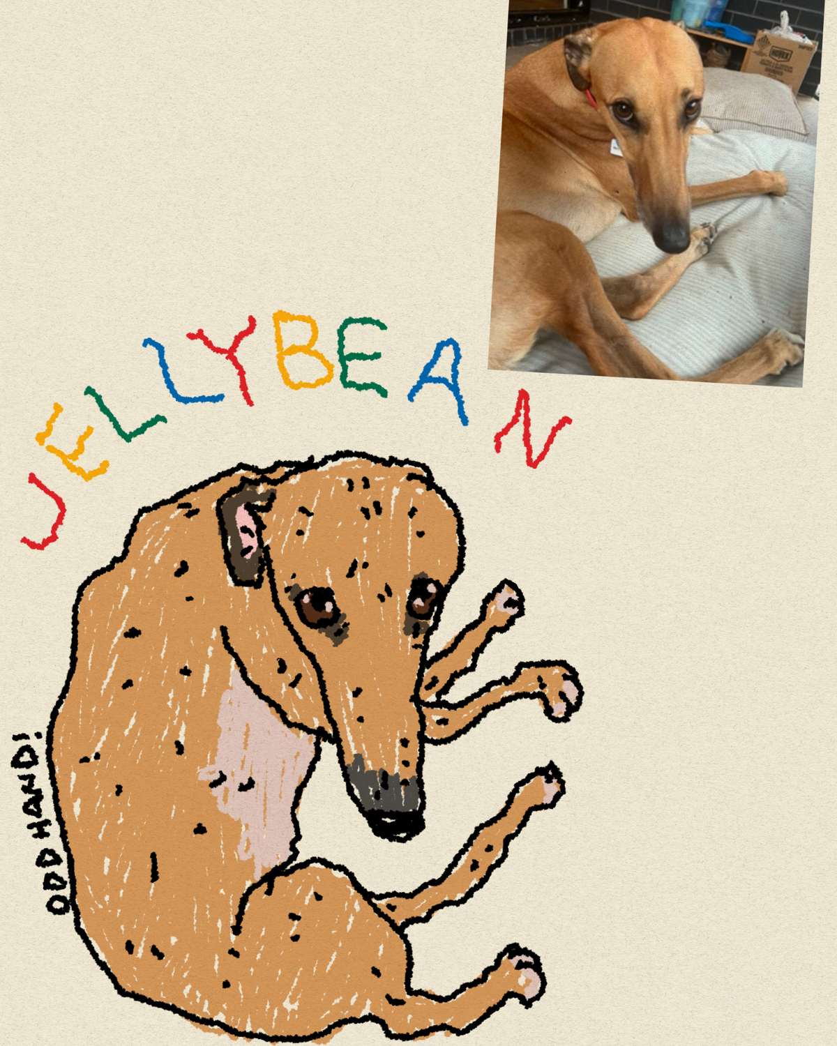 Silly Left Hand Portrait