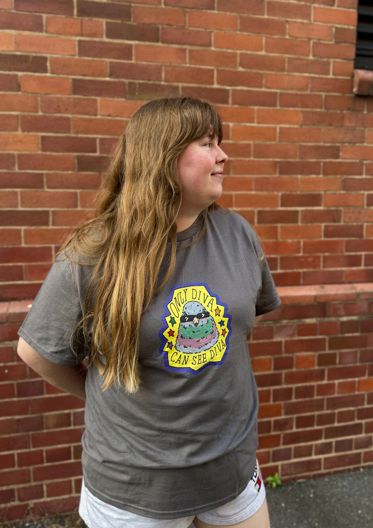 Only Diva Can See Diva T-Shirt