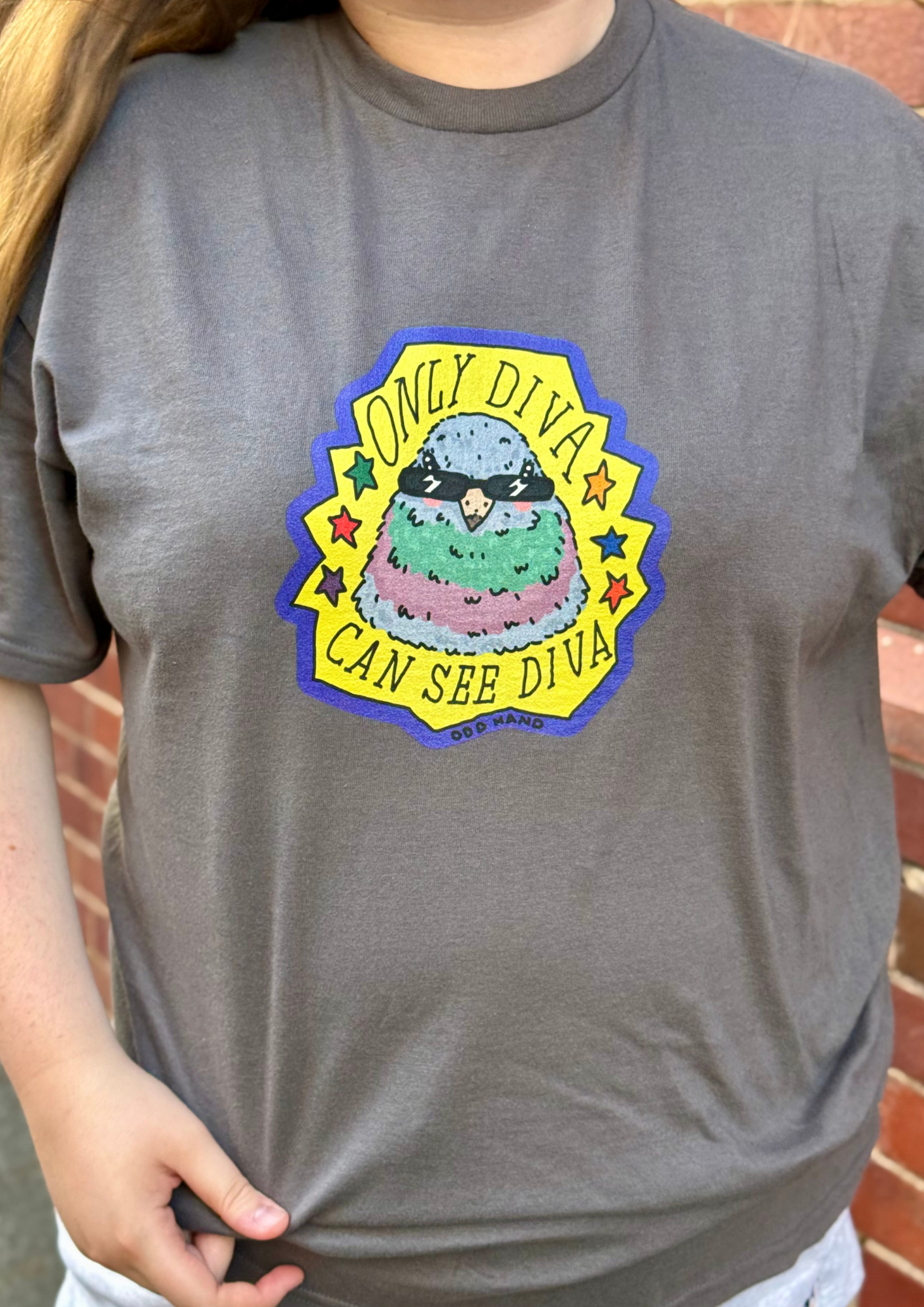 Only Diva Can See Diva T-Shirt