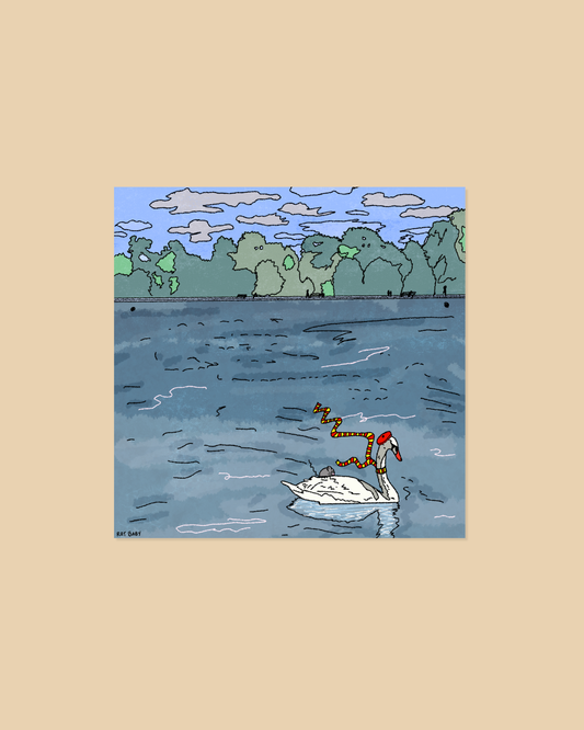 Kensington Park Swan Postcard