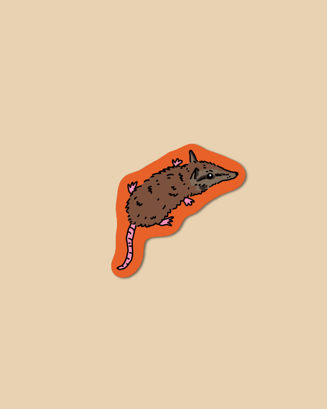 Rat Numbat Mini Sticker – ODD HAND CO.