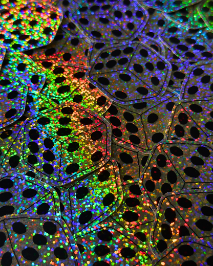 Dice Holographic Sticker