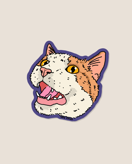 Ginger Cat Sticker