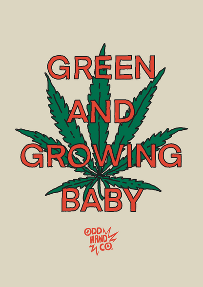 Green + Growing Baby