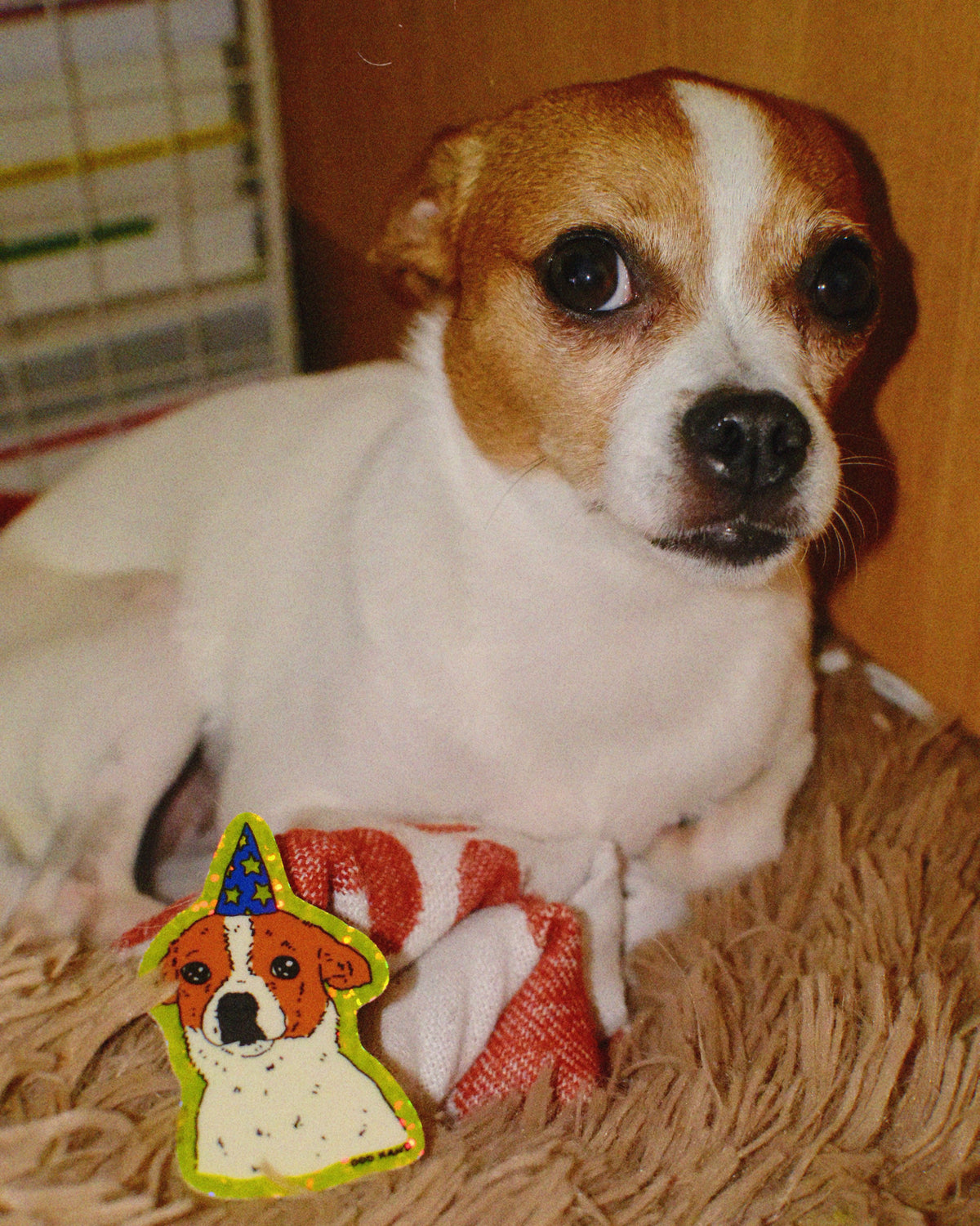 Wizard Puppy Holographic Sticker