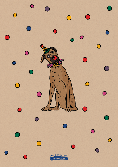 Pet Dress-Up Portrait