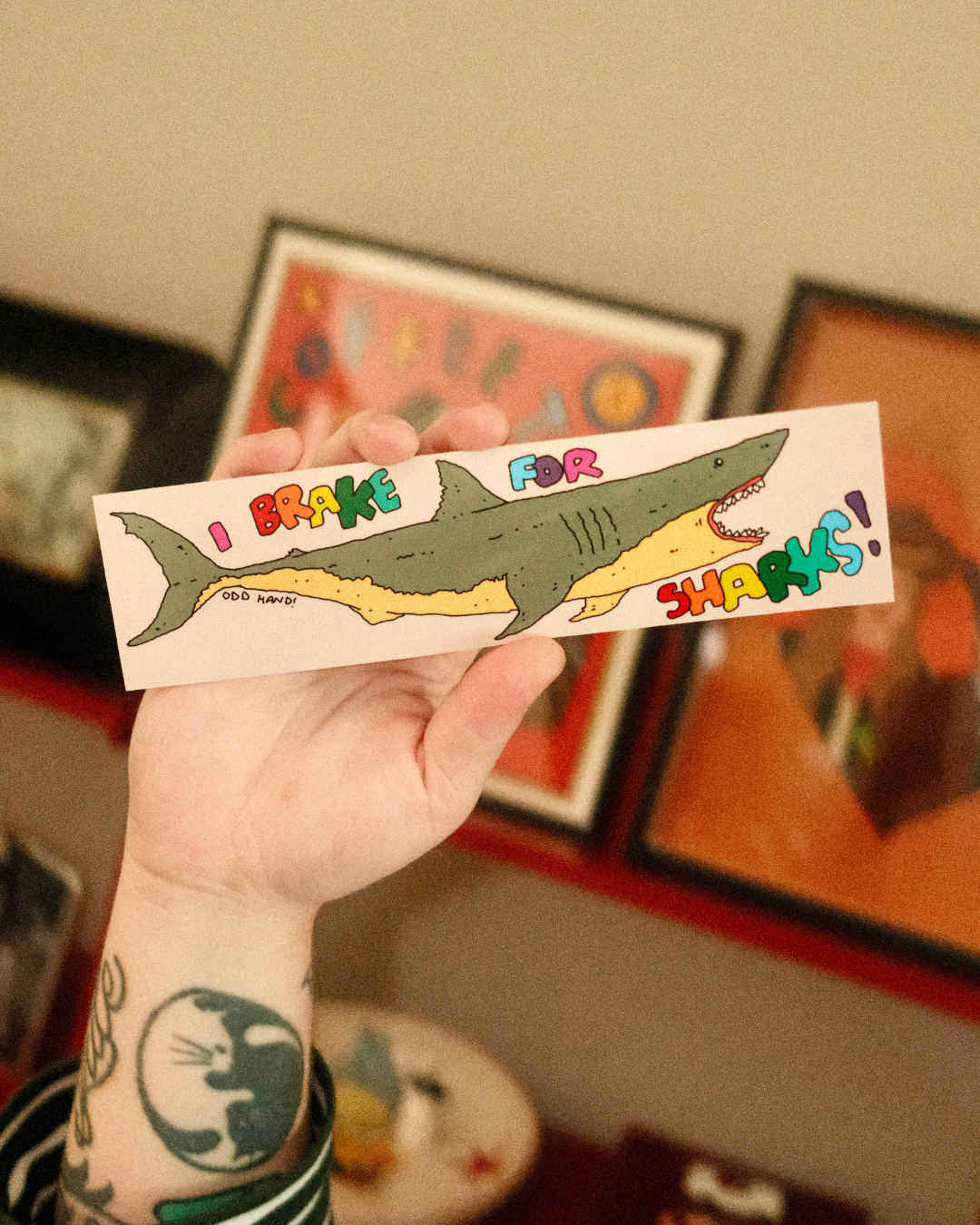 I Brake For Sharks Bumper Sticker